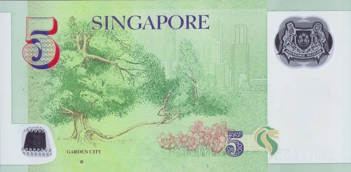 The Tembusu tree on the back of the Singapore $5 note